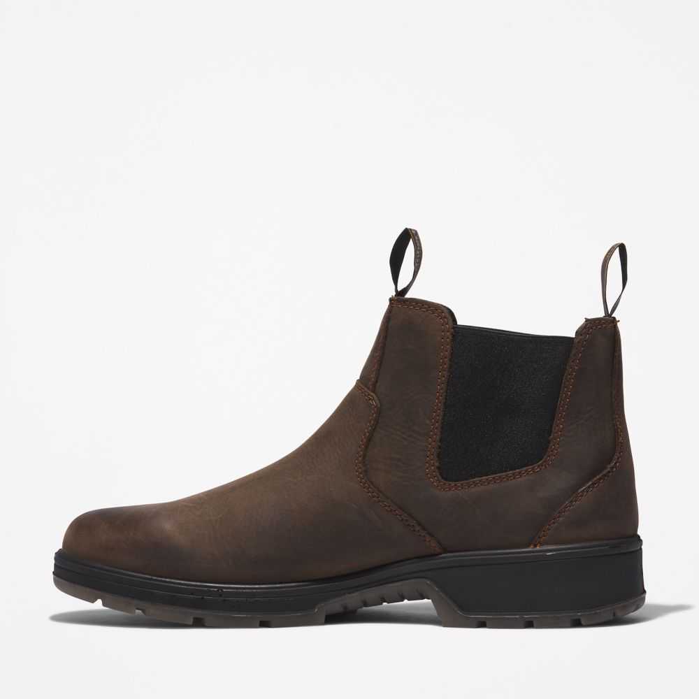 Timberland Nashoba Braun | SN-TBL45661