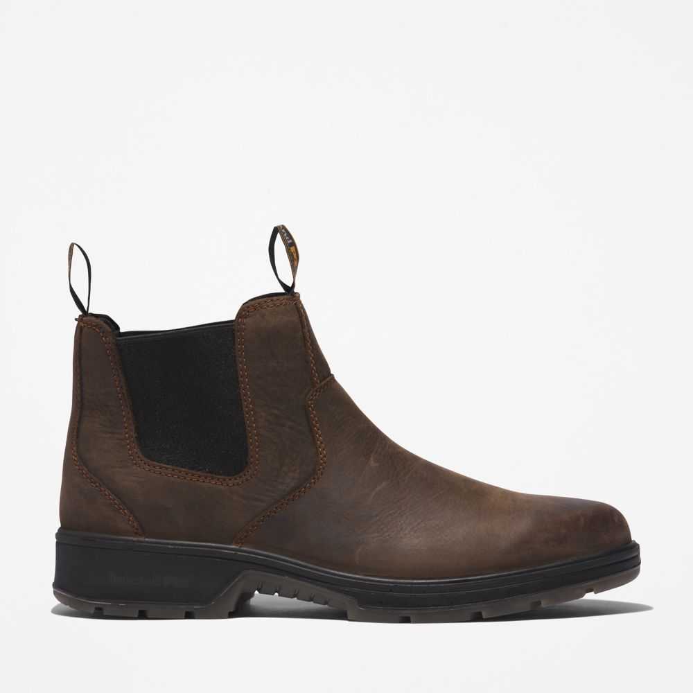 Timberland Nashoba Braun | SN-TBL45661